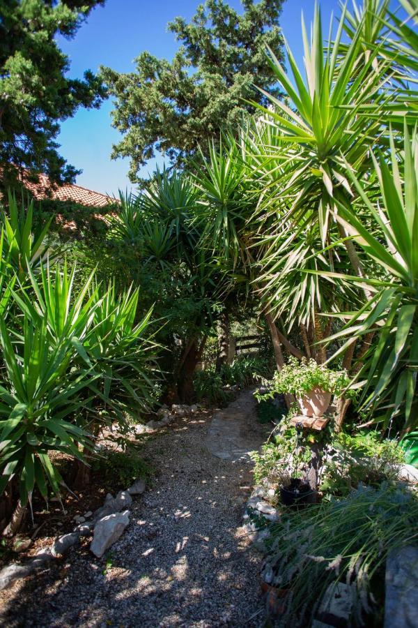 Yucca Apartment Novalja