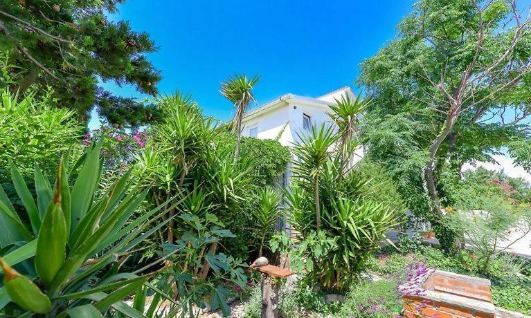 Apartment Yucca *